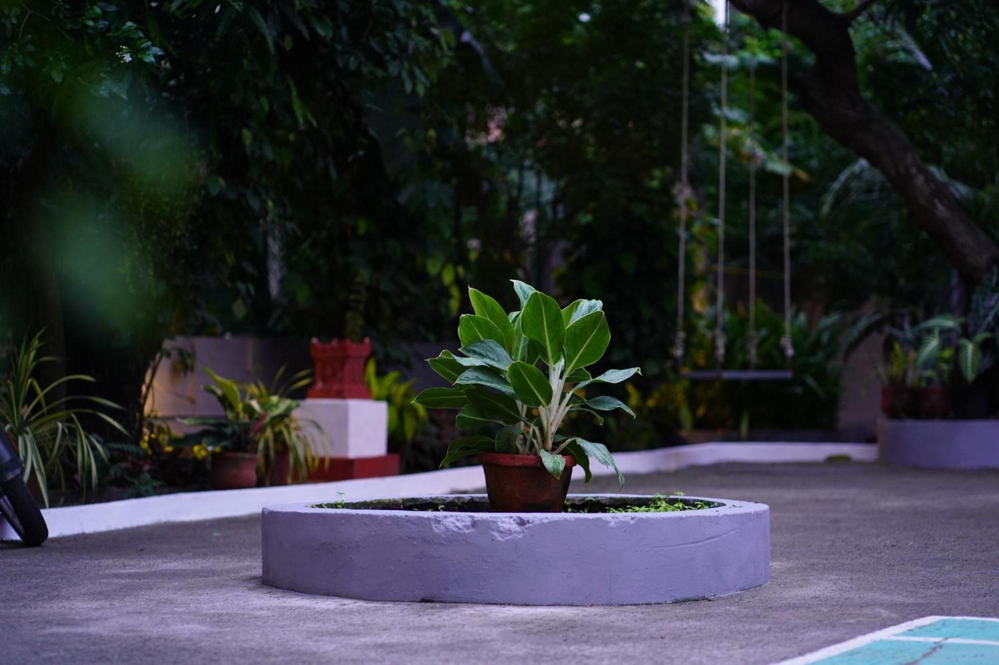 Remasailam Homestay - Thiruvananthapuram , Calm & Blend With Nature Екстериор снимка